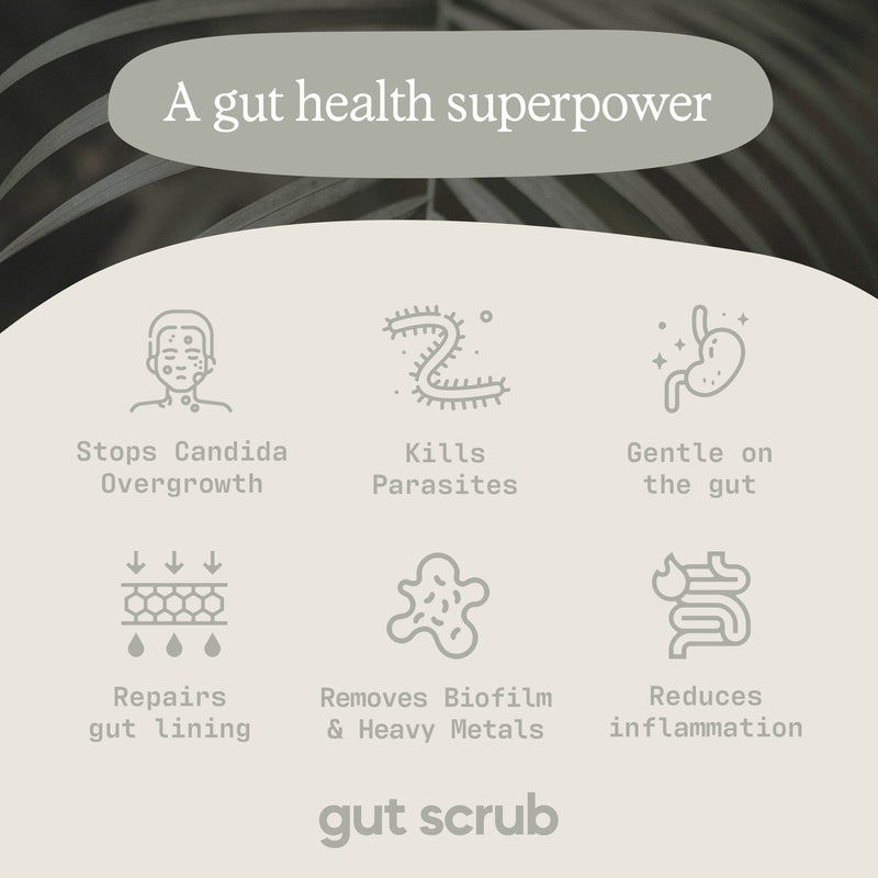 Improve Gut Flora